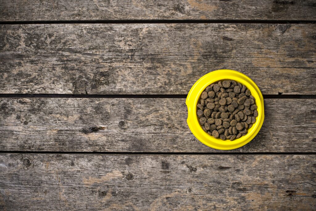 Bowl of dry dogs food on wooden floor